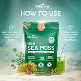 KIKI Green Sea Moss Powder with a smoothie