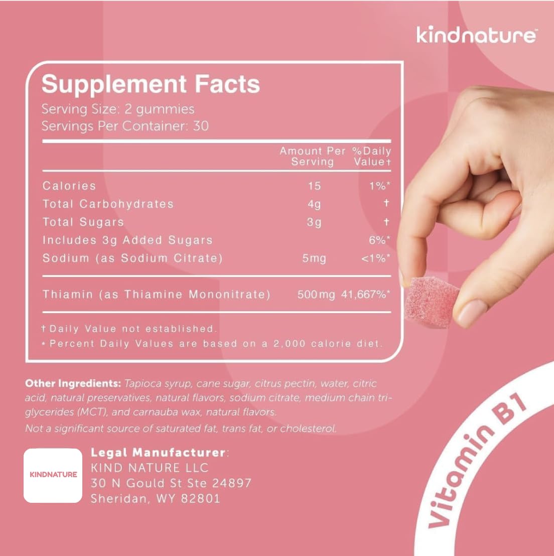 kindnature Thiamine Gummies 500mg lifestyle image with family