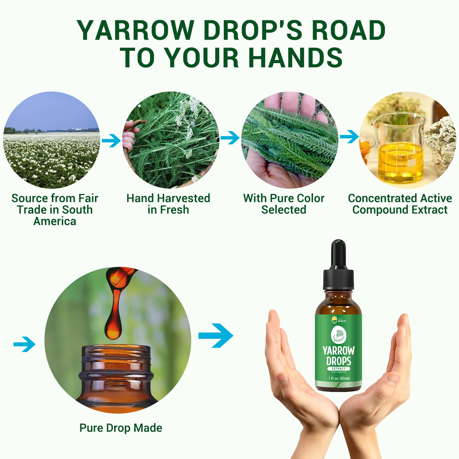 KingHealth Yarrow Tincture 100ml with a measuring spoon
