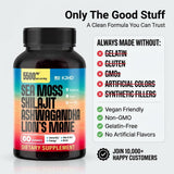 KJHD Shilajit Supplement lifestyle scene with herbal ingredients