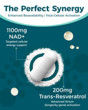 Koalatree NAD+ Supplement capsule close-up