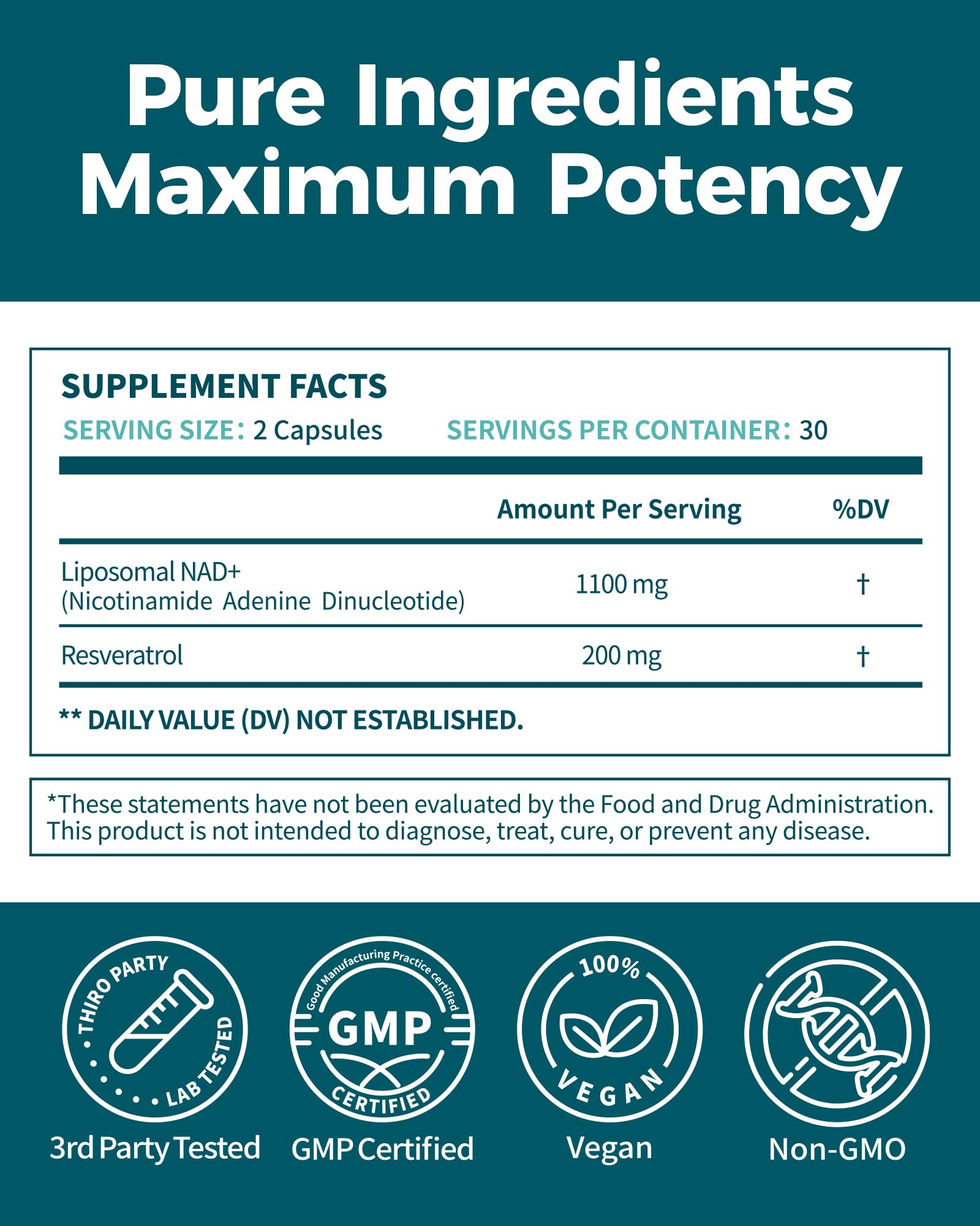 Koalatree NAD+ Supplement in a lifestyle setting