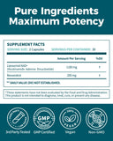Koalatree NAD+ Supplement in a lifestyle setting