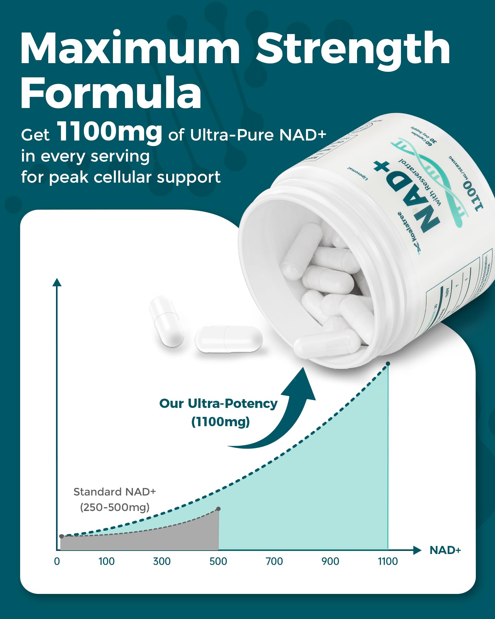 Koalatree NAD+ Supplement side view with dosage information