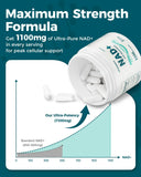 Koalatree NAD+ Supplement side view with dosage information