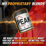 Kodiak Supplements BCAA 348g scoop showing powder