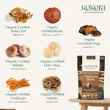kokora 7 Mushroom Mocha supplement side view showing capsule details