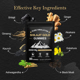 Koloskiy Shilajit Gummies individual gummy close-up