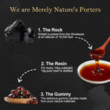 Koloskiy Shilajit Gummies side view showing texture