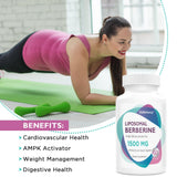 KoNefancy Berberine HCL supplement ingredients list