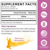 KoNefancy Berberine HCL supplement ingredients list