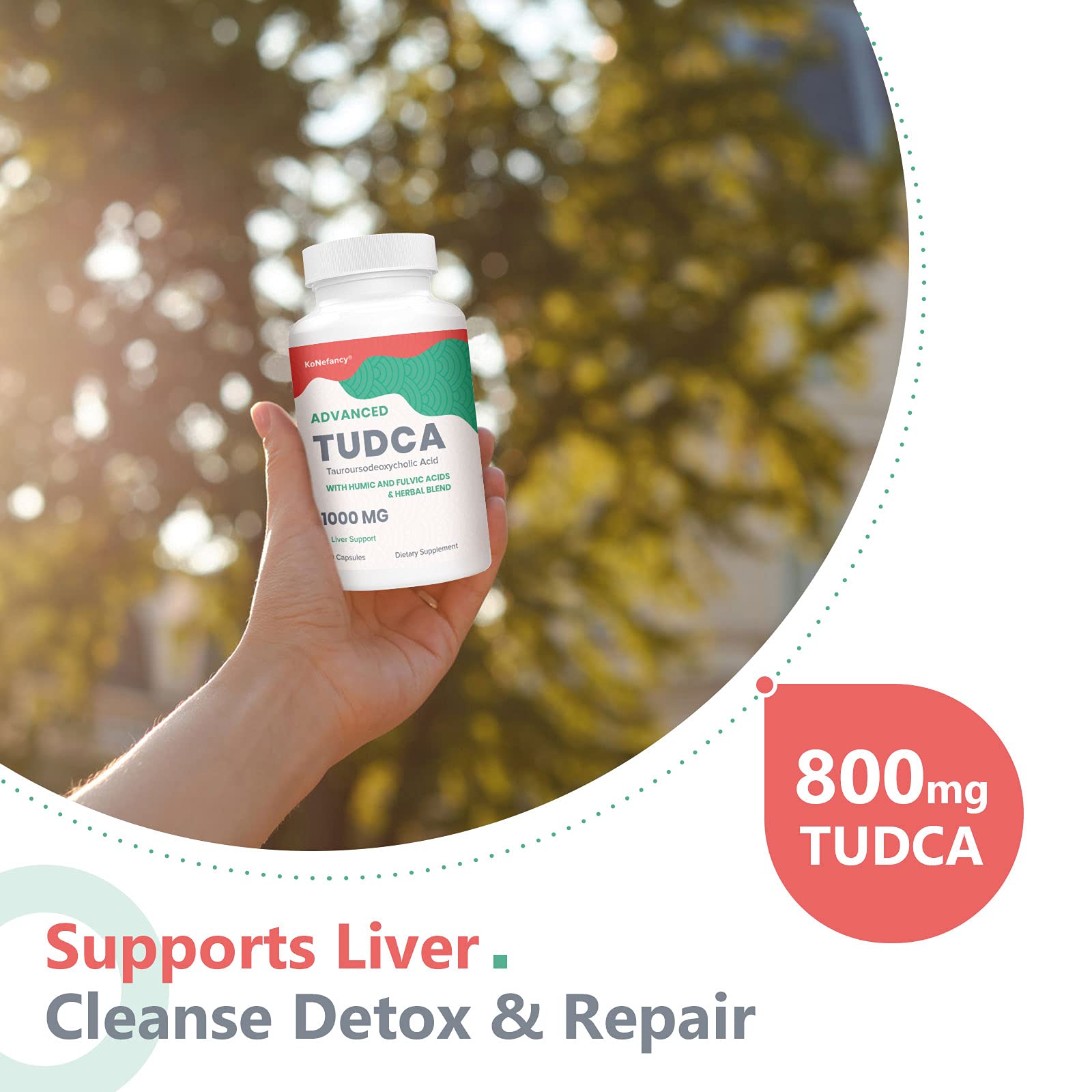 KoNefancy TUDCA Supplement ingredients list