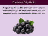 KOYAH Aronia Capsules lifestyle scene with fresh berries