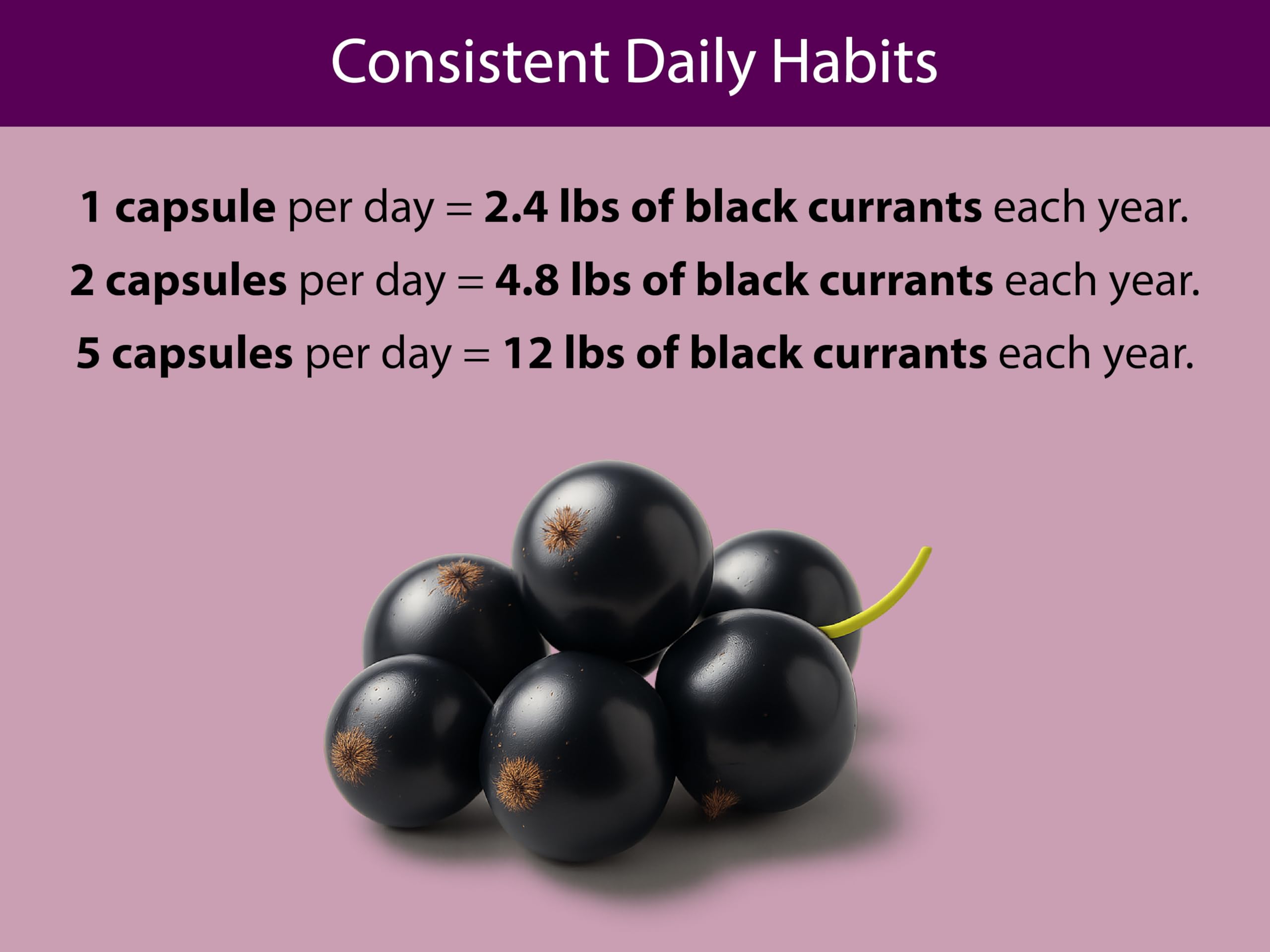 KOYAH Black Currant Capsules with ingredients list