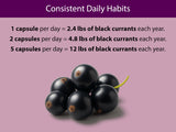 KOYAH Black Currant Capsules with ingredients list
