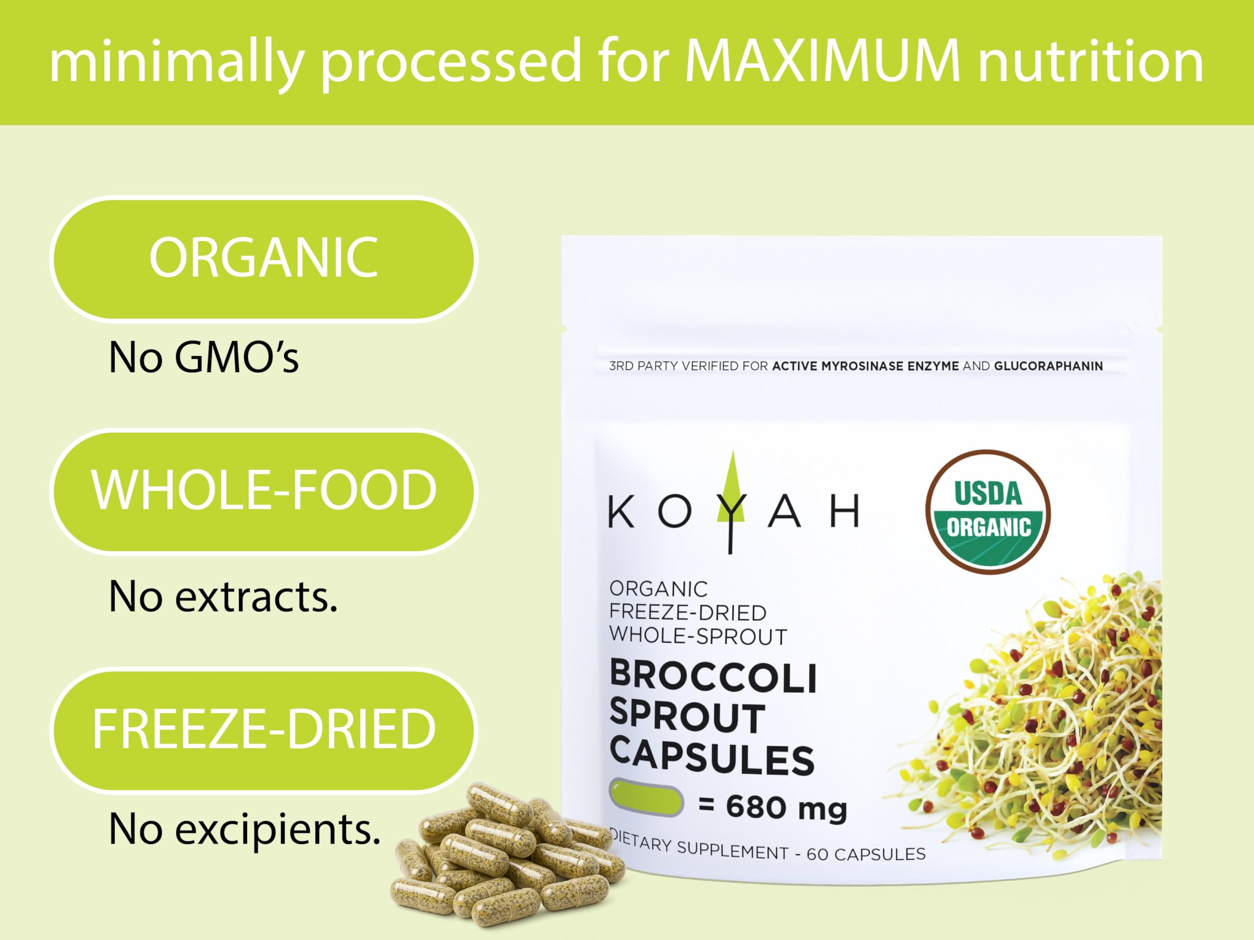 KOYAH Broccoli Sprout Capsules back view with ingredient list