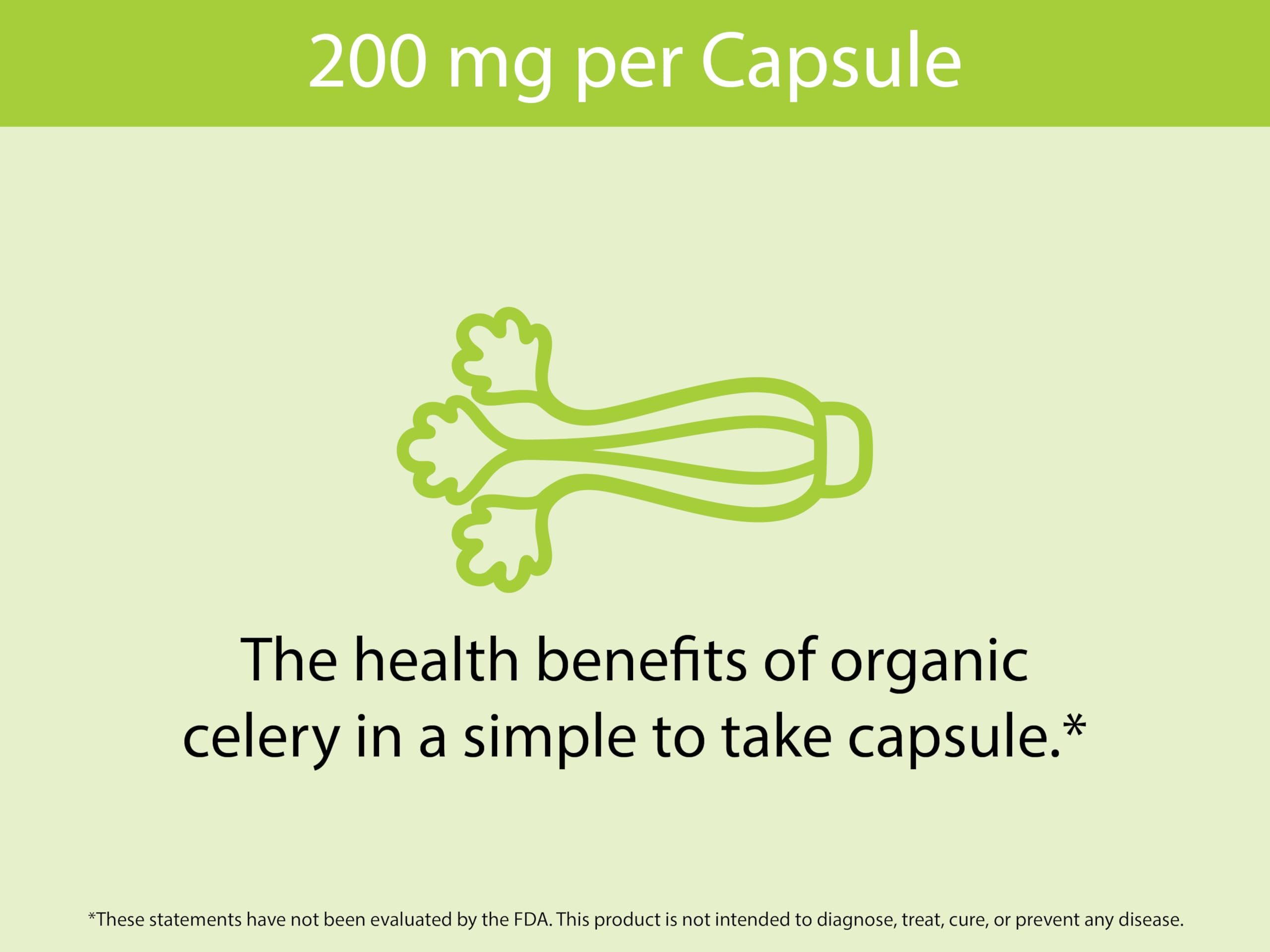 KOYAH Celery Capsules with a measuring spoon of celery powder