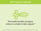 KOYAH Celery Capsules with a measuring spoon of celery powder