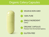 KOYAH Celery Capsules with organic celery powder background