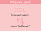 KOYAH Cranberry Powder Capsules packaging back view