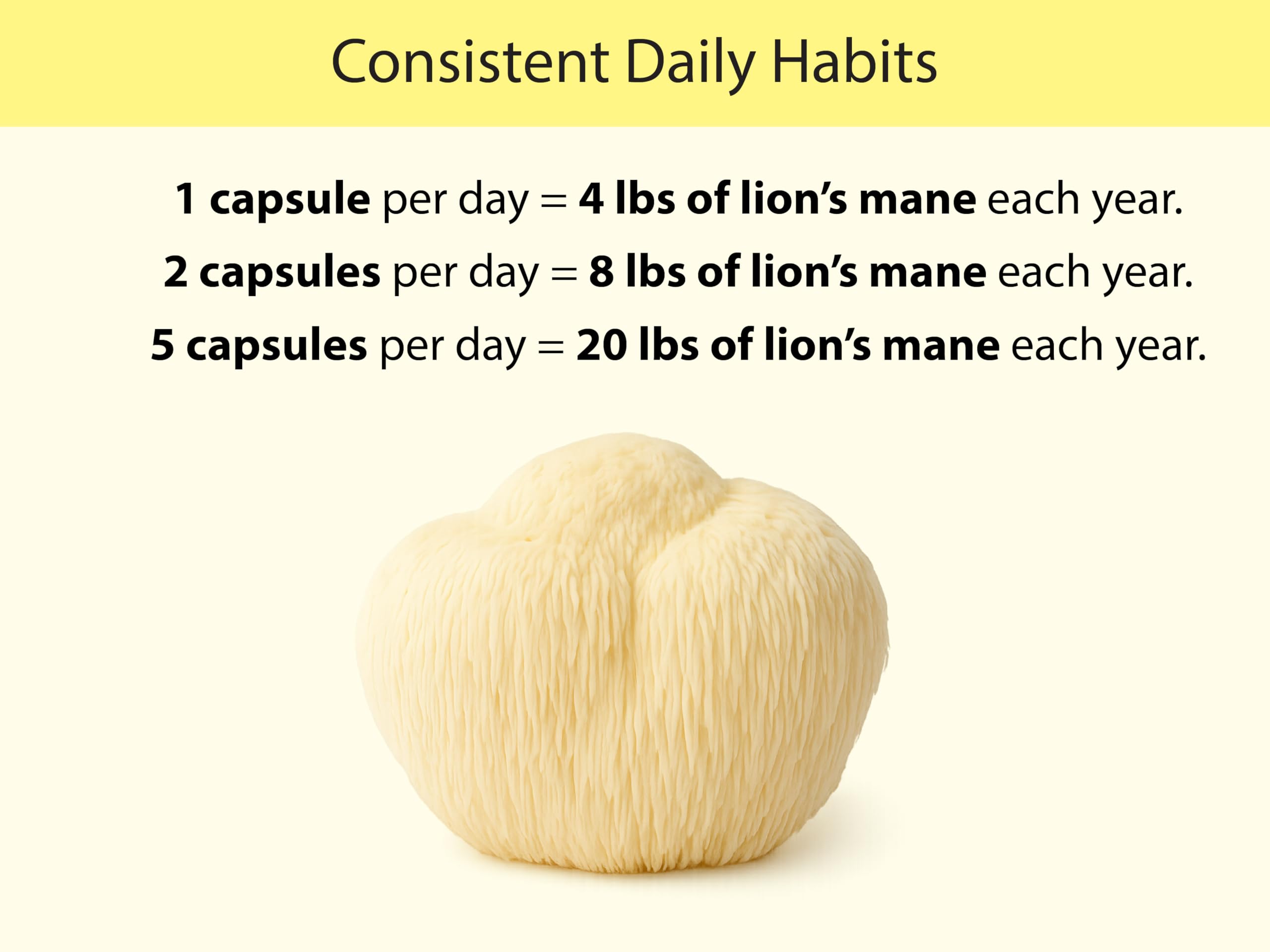 KOYAH Lion's Mane Capsules with a measuring spoon