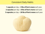 KOYAH Lion's Mane Capsules with a measuring spoon