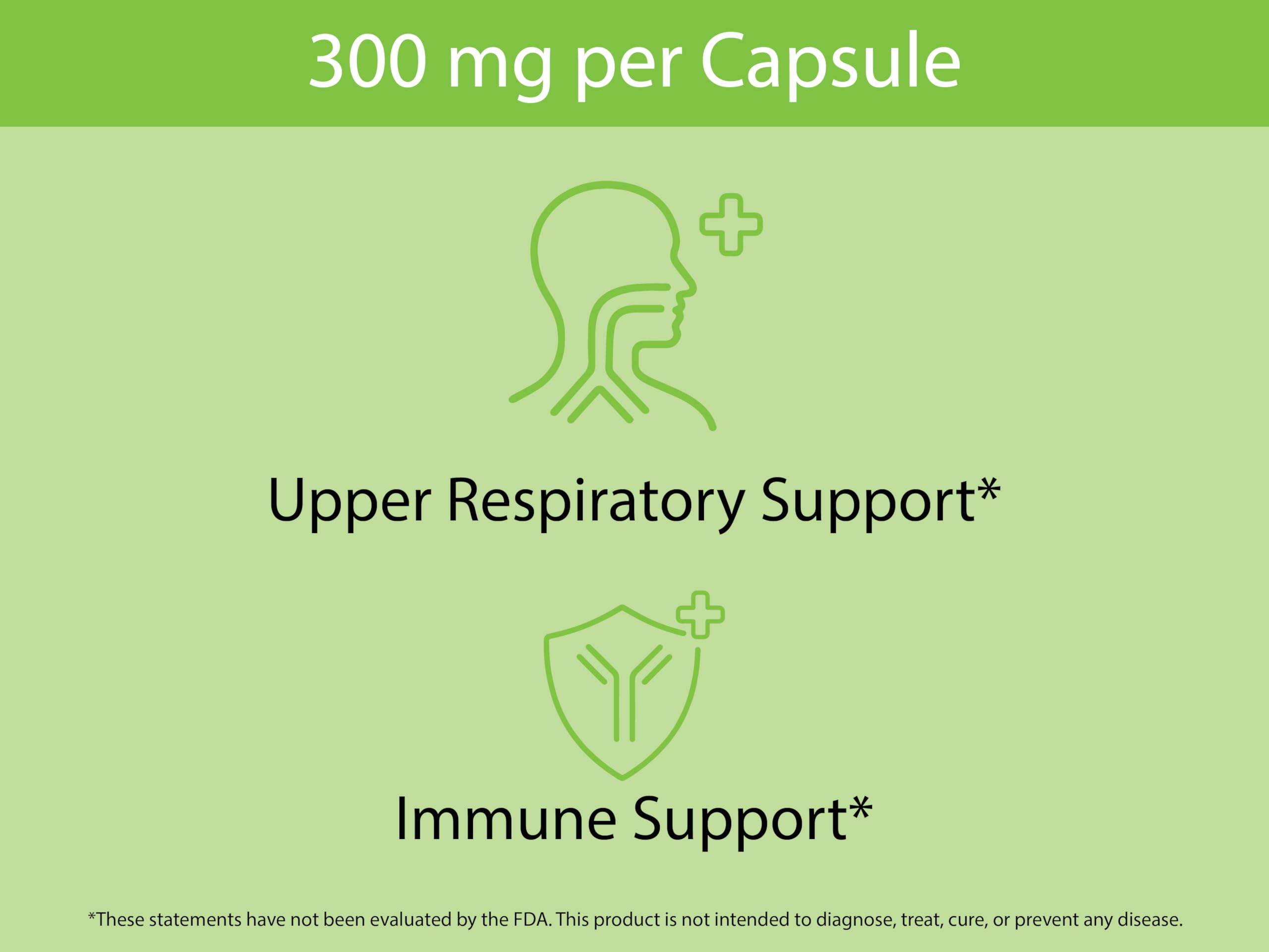 KOYAH Nettle Leaf Capsules back view showing nutritional information