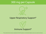 KOYAH Nettle Leaf Capsules back view showing nutritional information