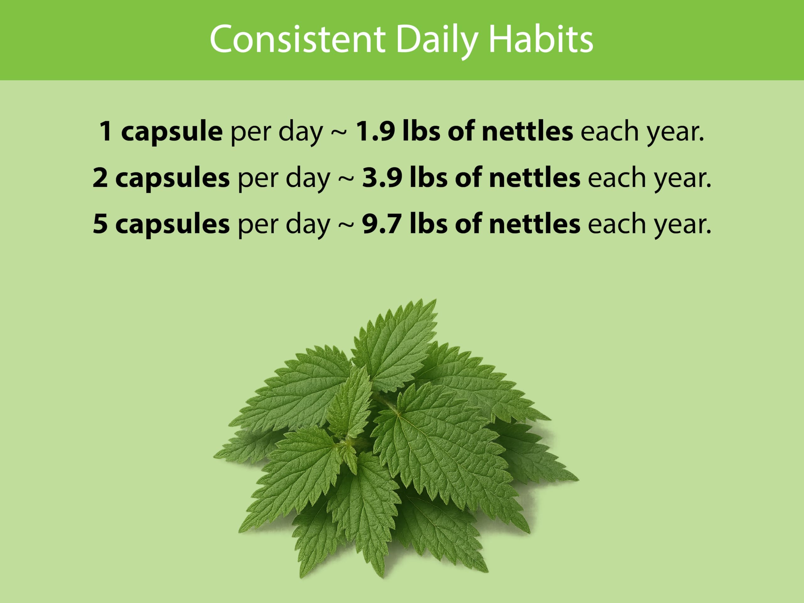 KOYAH Nettle Leaf Capsules opened bottle with capsules visible