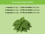 KOYAH Nettle Leaf Capsules opened bottle with capsules visible