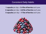 KOYAH Organic Berry Powder Capsules on a wooden table