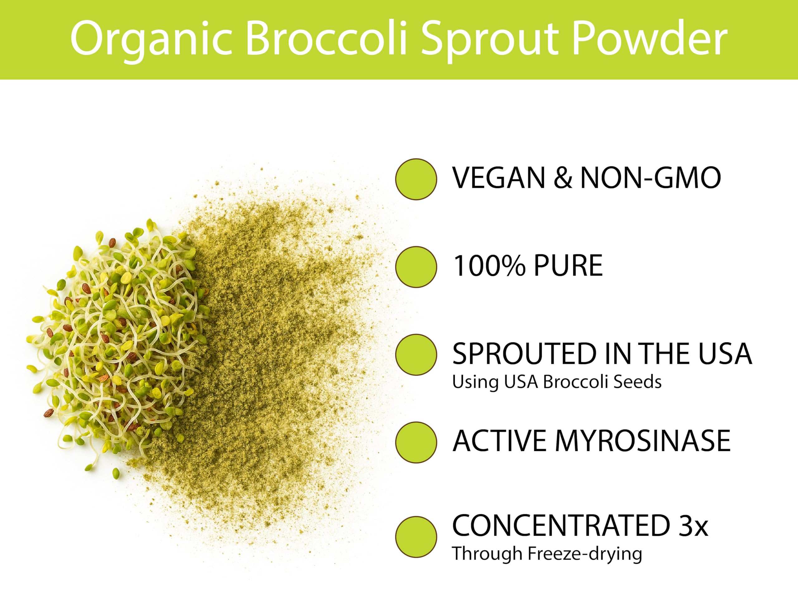 KOYAH Organic Broccoli Sprout Powder in a bowl