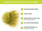 KOYAH Organic Broccoli Sprout Powder in a bowl