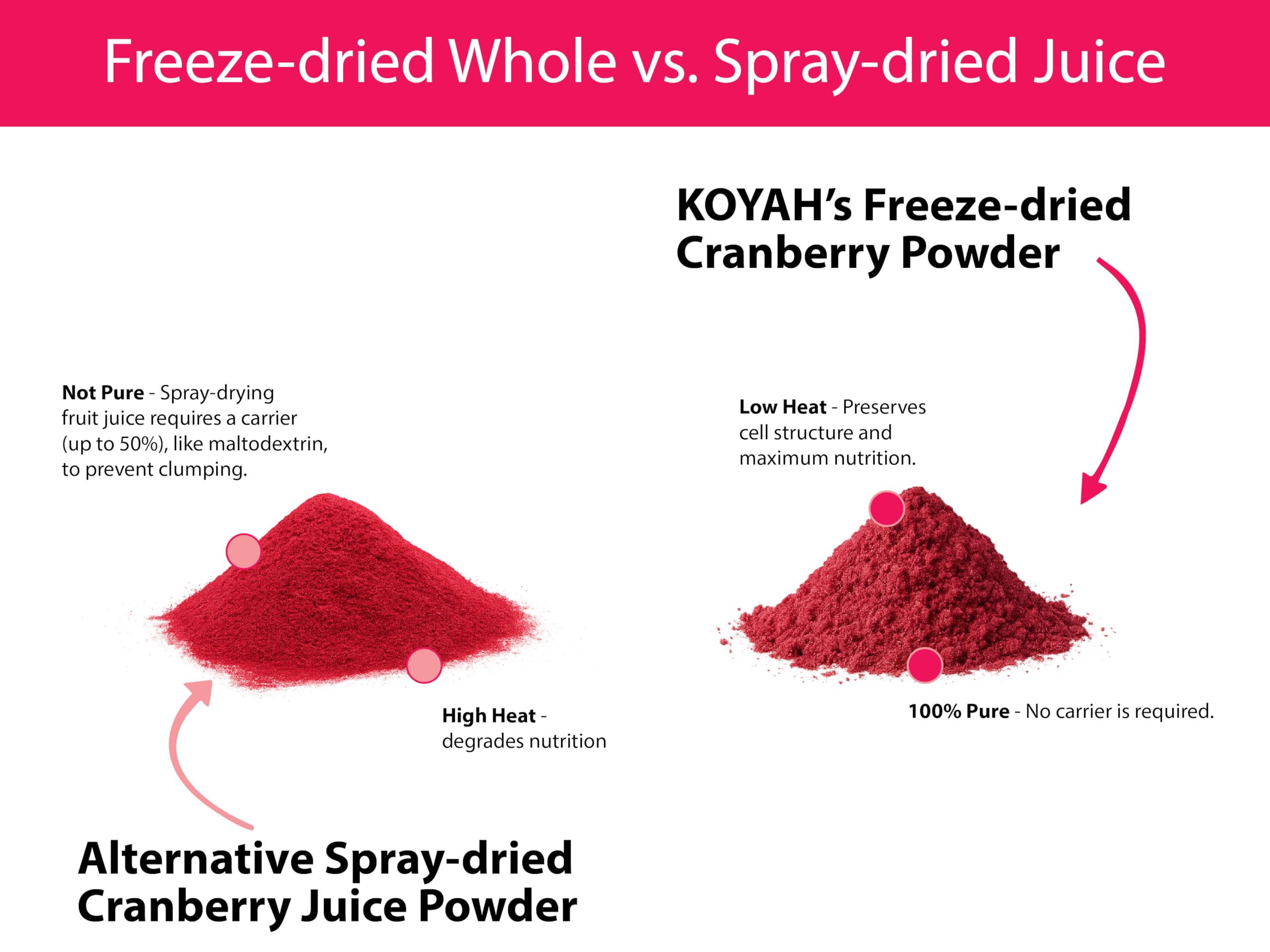 KOYAH Organic Cranberry Powder scoop next to fresh cranberries