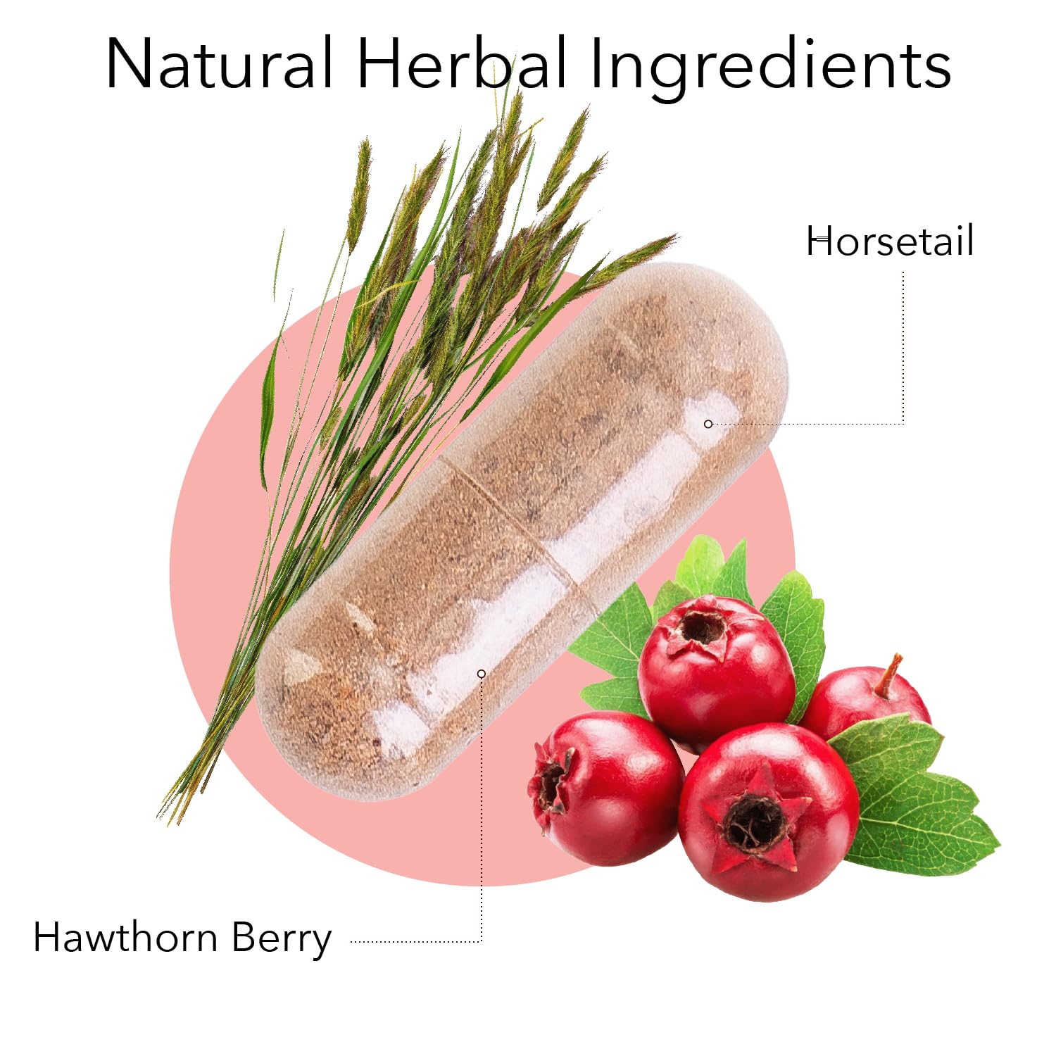 Kroeger Herb Products Hawthorn Berry Capsules with packaging