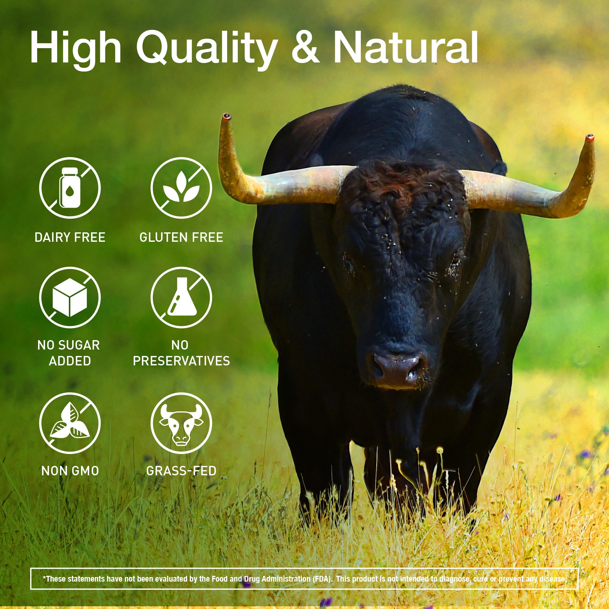 KTD BIOLABS Beef Organ Complex displayed with other supplements