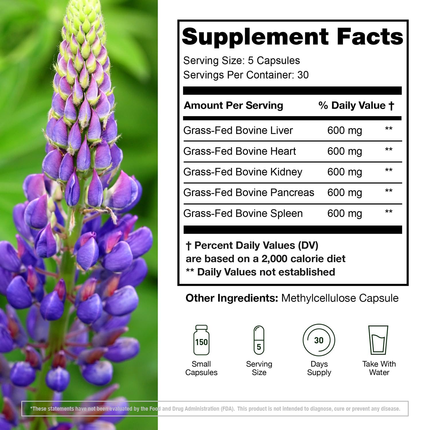 KTD BIOLABS Beef Organ Supplement side view showing capsule size