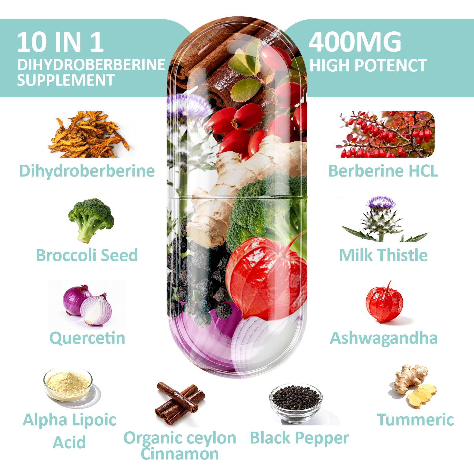 KUAFLY Dihydroberberine Supplement 750mg back view