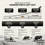 KUZEOLON Beef Organ Blend Supplement ingredients list