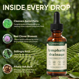 KXVUDE Herbal Lymphatic Drainage Liquid Drops with dropper