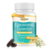 Kynderynl Memory Lift Brain Supplement 60 Softgels front view