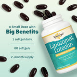 Kynderynl Memory Lift Brain Supplement ingredients list
