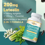 Kynderynl Memory Lift Brain Supplement softgels close-up