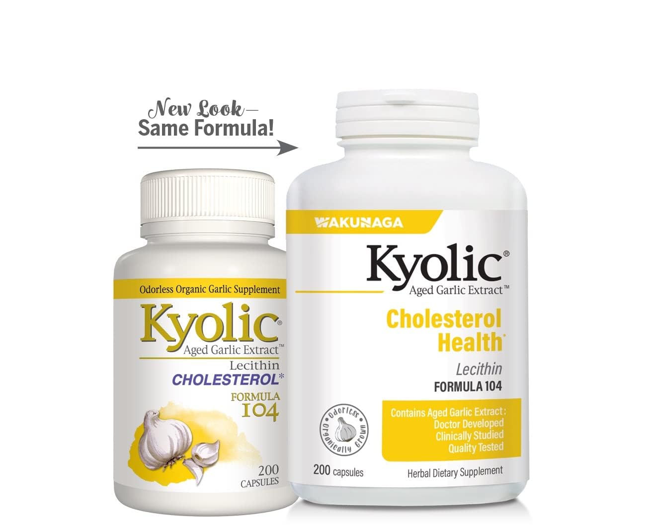 Kyolic Aged Garlic Extract 104 supplement bottle with packaging