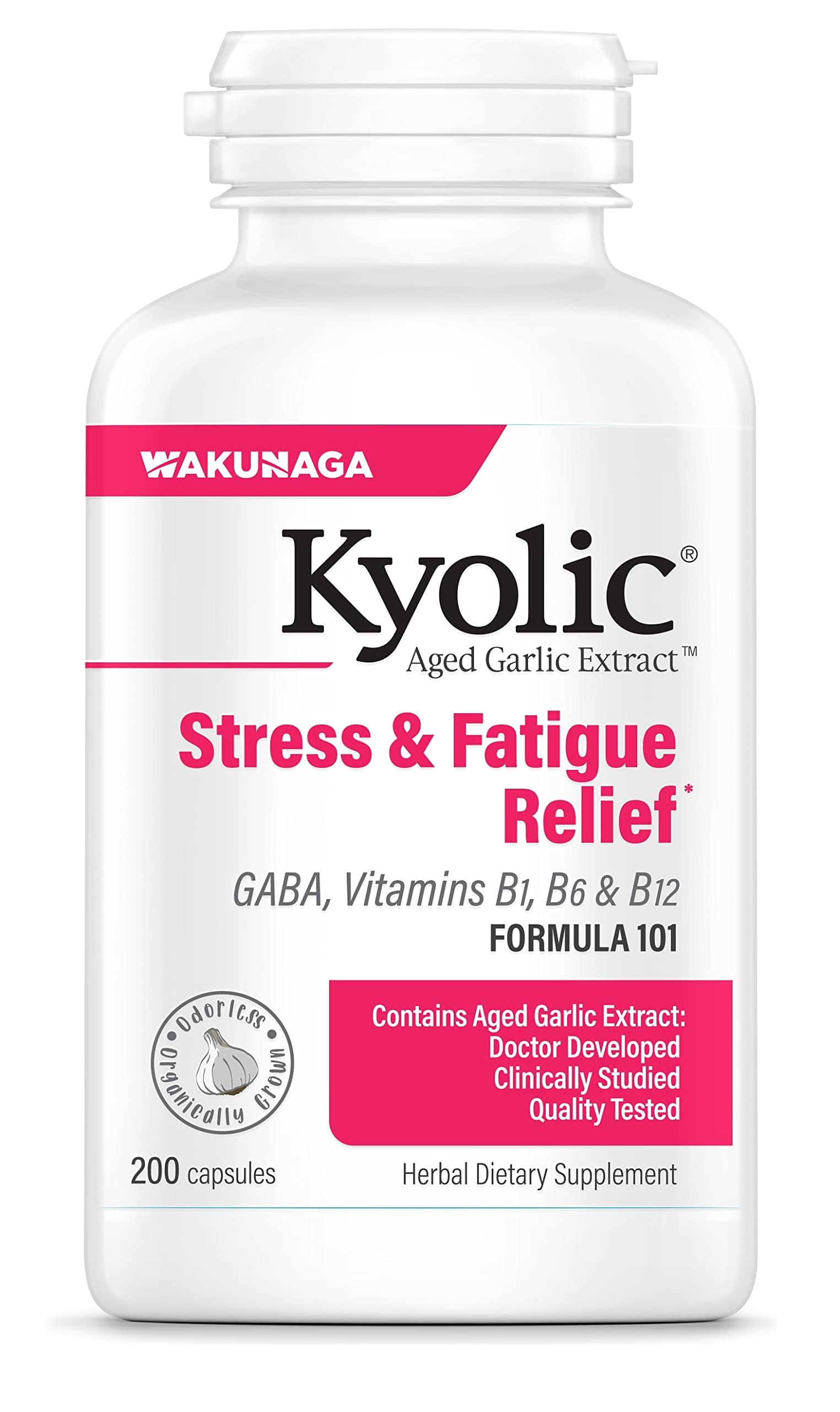 Kyolic Aged Garlic Extract Formula 101 200 Capsules front view