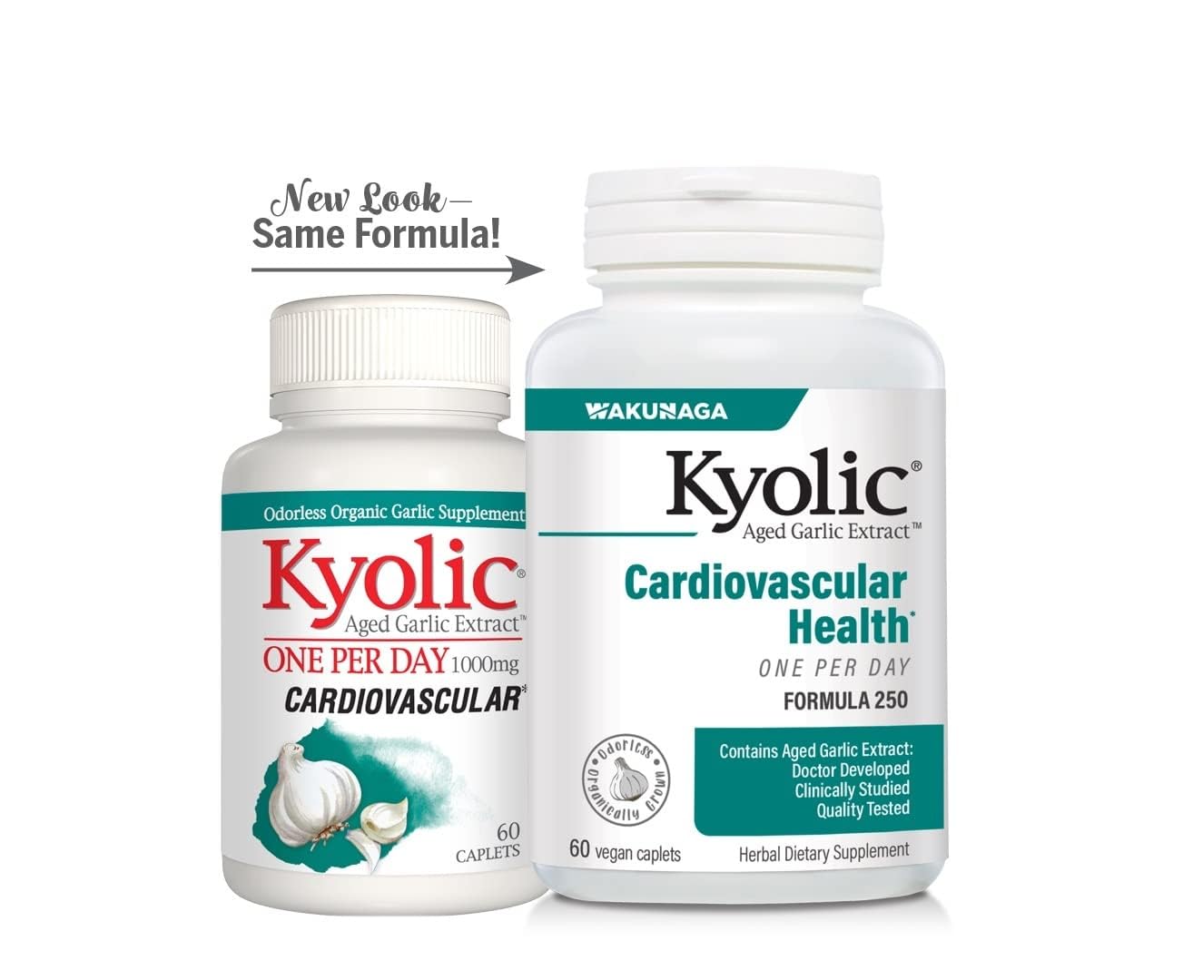 Kyolic Aged Garlic Extract Formula 250 caplets in a hand