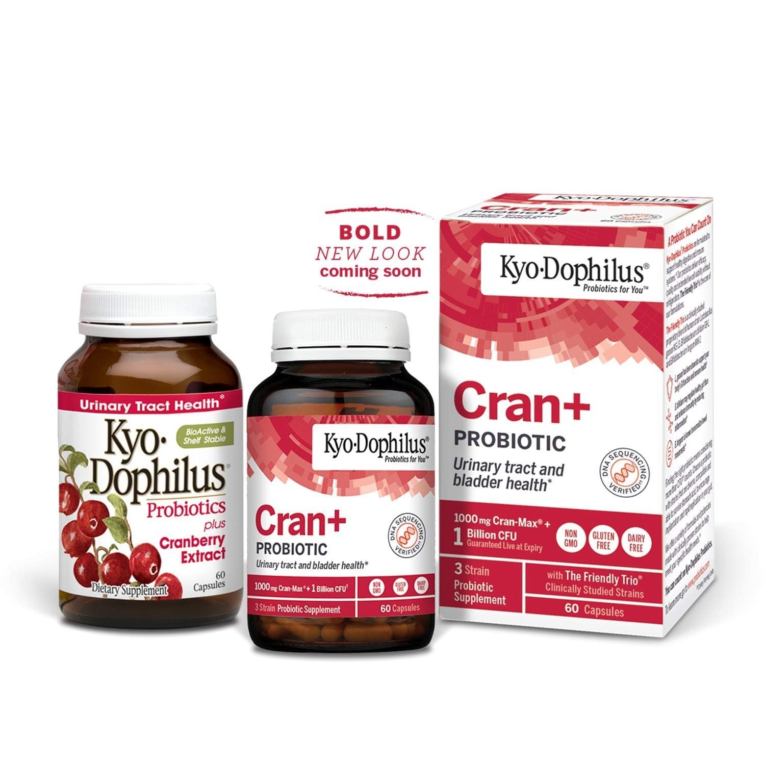 Kyolic Cran Logic Cran-Max Cranberry Extract with Probiotics on a wooden table