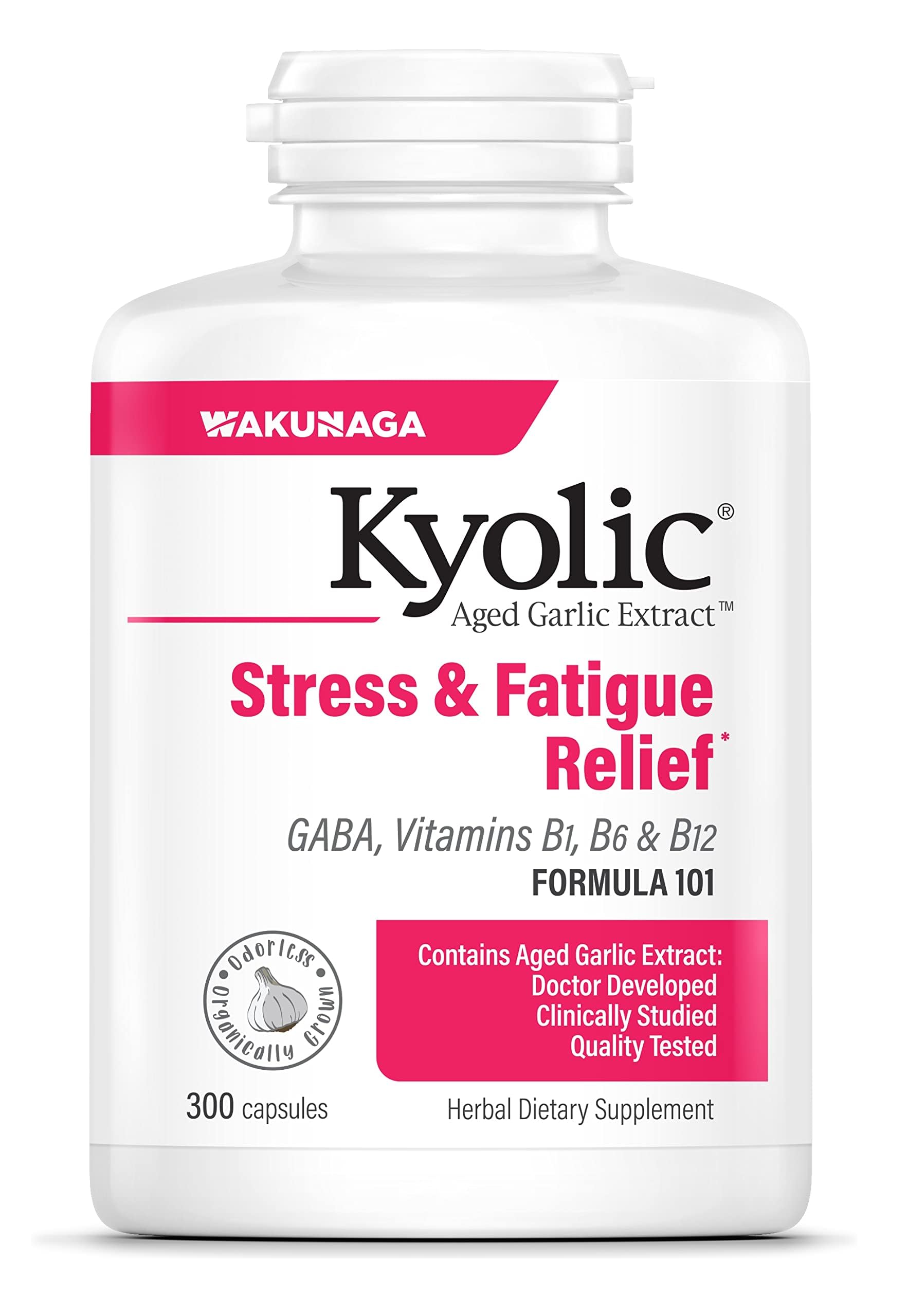 Kyolic Garlic Plus Aged Garlic Extract 300 Capsules front view