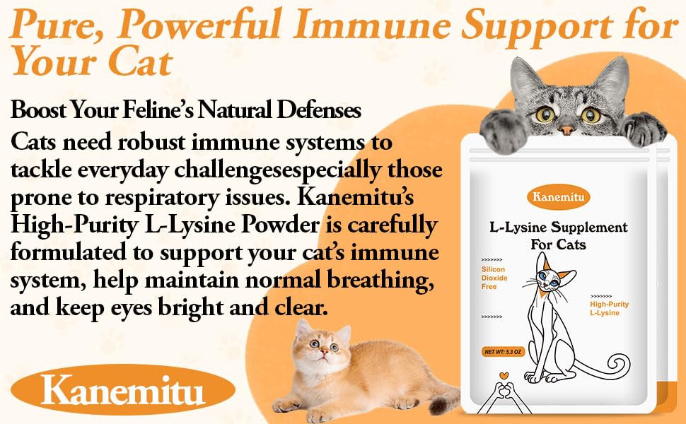 金光くん L-Lysine Powder packaging side view