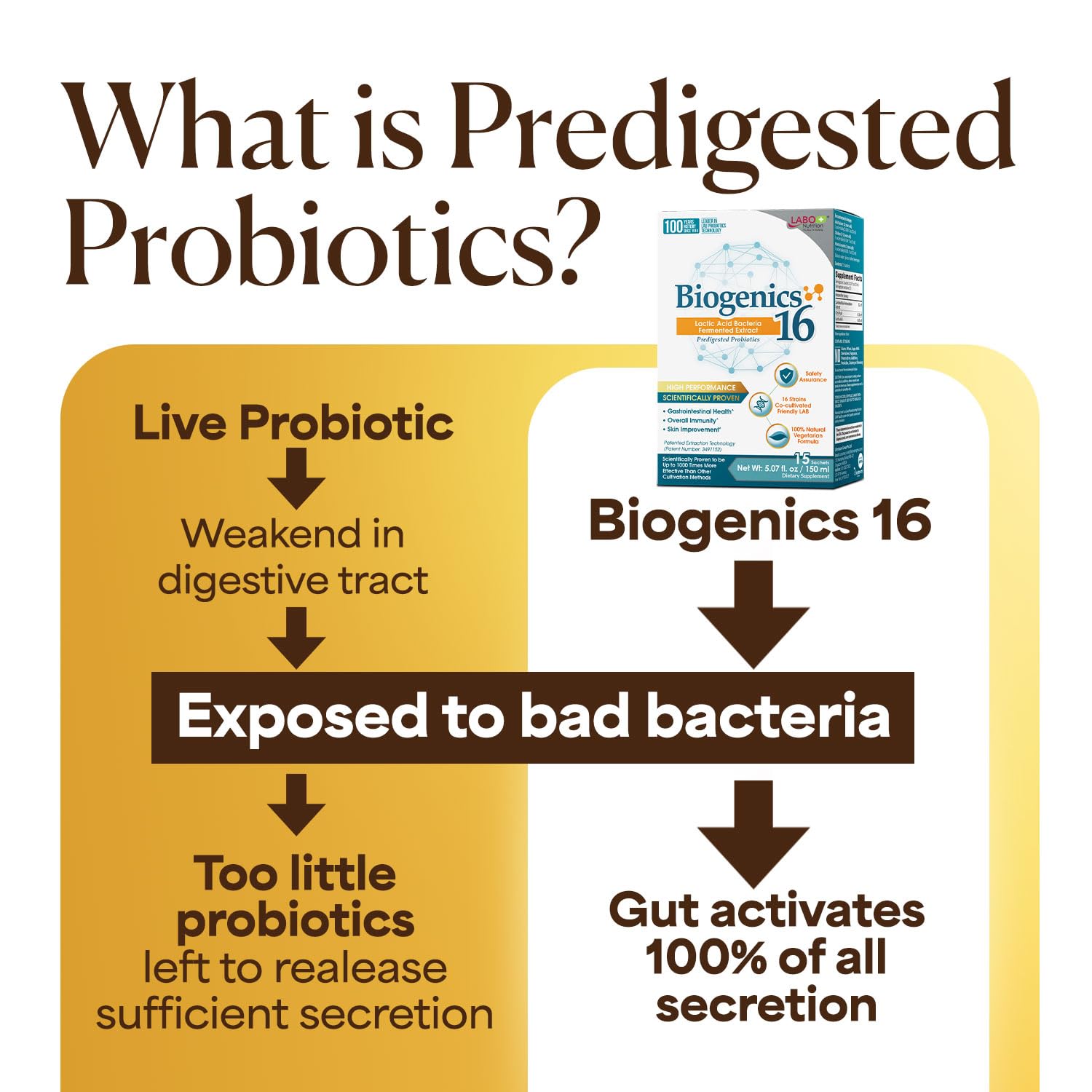 LABO Nutrition Biogenics 16 Probiotic Supplement 10g ingredients list